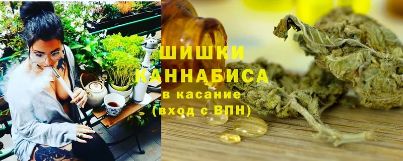 маркетплейс наркотические препараты  Новопавловск  Канабис LSD WEED 